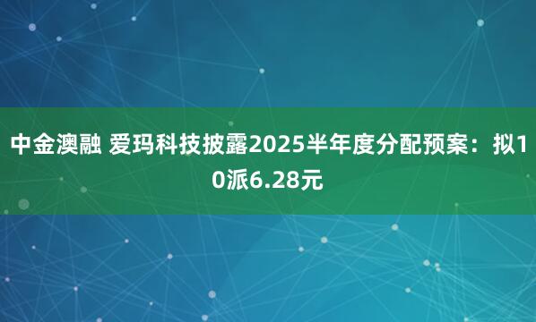 中金澳融 爱玛科技披露2025半年度分配预案：拟10派6.28元