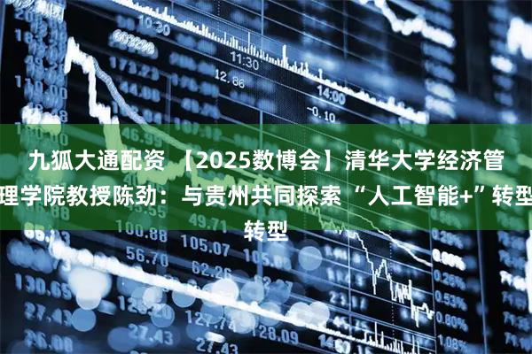九狐大通配资 【2025数博会】清华大学经济管理学院教授陈劲：与贵州共同探索 “人工智能+”转型