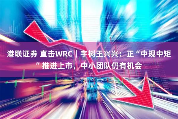 港联证券 直击WRC｜宇树王兴兴：正“中规中矩”推进上市，中小团队仍有机会