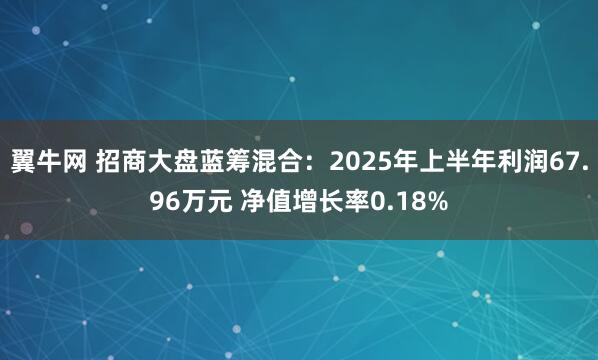 翼牛网 招商大盘蓝筹混合：2025年上半年利润67.96万元 净值增长率0.18%